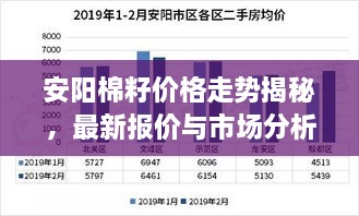安阳棉籽价格走势揭秘，最新报价与市场分析
