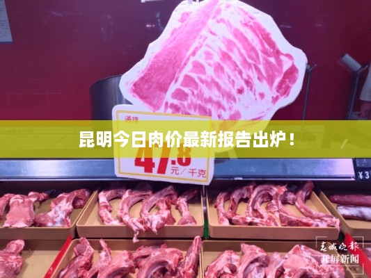 昆明今日肉价最新报告出炉！