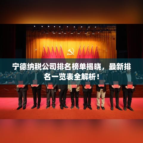宁德纳税公司排名榜单揭晓，最新排名一览表全解析！