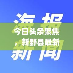 今日头条聚焦，新野县最新新闻报道速递