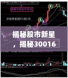 揭秘股市新星，揭秘300164股票背后的潜力与机遇