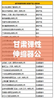 甘肃弹性伸缩器公司排名揭晓，行业领军者榜单出炉！
