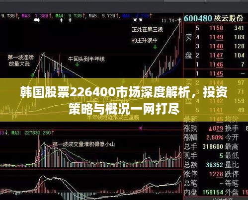 韩国股票226400市场深度解析，投资策略与概况一网打尽