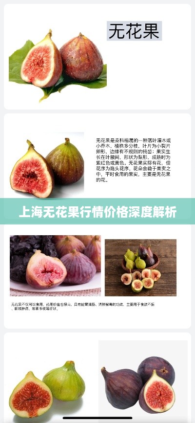 上海无花果行情价格深度解析