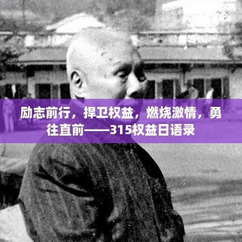 励志前行，捍卫权益，燃烧激情，勇往直前——315权益日语录