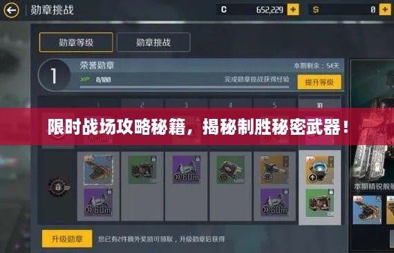 限时战场攻略秘籍，揭秘制胜秘密武器！