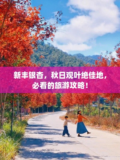 新丰银杏，秋日观叶绝佳地，必看的旅游攻略！