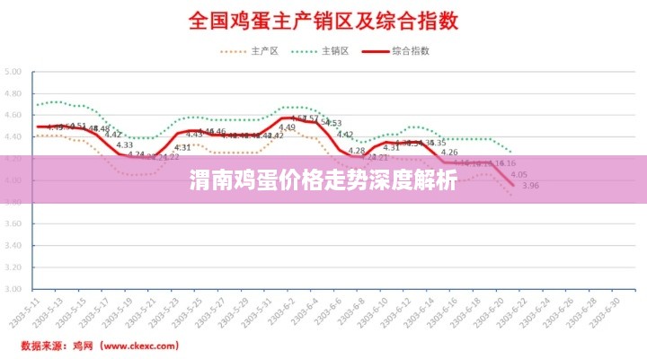 渭南鸡蛋价格走势深度解析