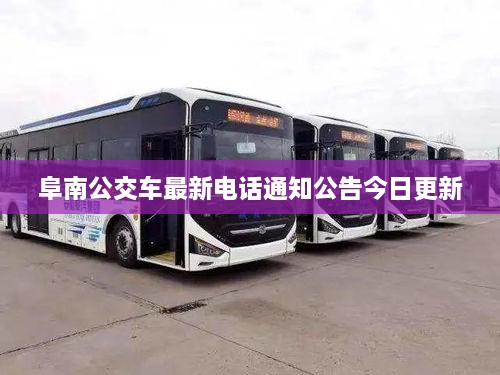 阜南公交车最新电话通知公告今日更新