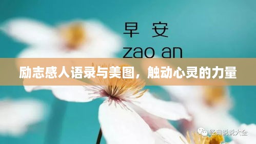 励志感人语录与美图，触动心灵的力量