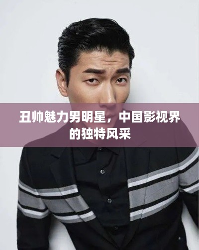 丑帅魅力男明星，中国影视界的独特风采