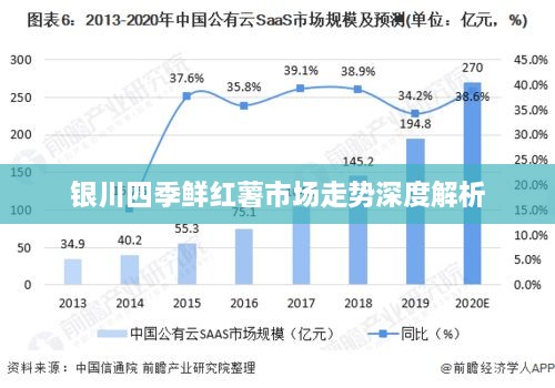 银川四季鲜红薯市场走势深度解析