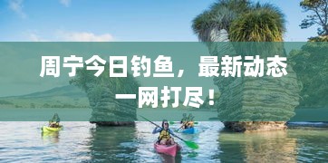 周宁今日钓鱼，最新动态一网打尽！