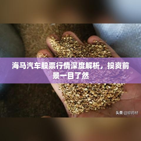 海马汽车股票行情深度解析，投资前景一目了然