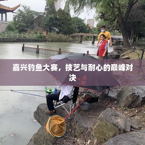 嘉兴钓鱼大赛，技艺与耐心的巅峰对决
