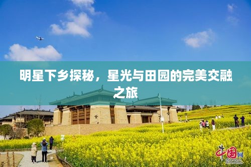 明星下乡探秘，星光与田园的完美交融之旅
