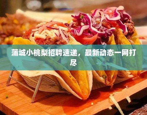 蒲城小桃梨招聘速递，最新动态一网打尽