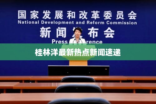 桂林洋最新热点新闻速递