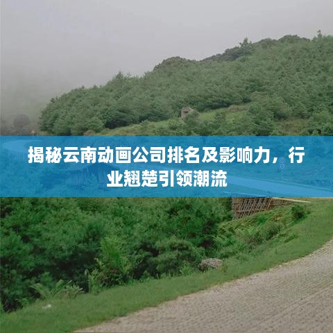 揭秘云南动画公司排名及影响力，行业翘楚引领潮流